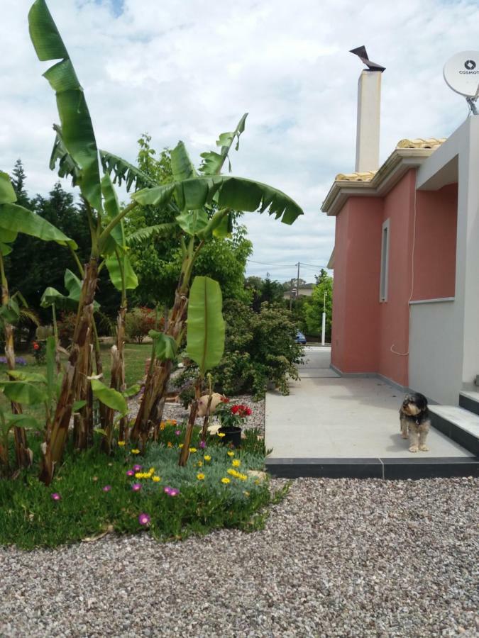 Villa The Moon House Preveza Exterior foto